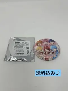 ⭐️未使用品⭐️すとぷり　BIG缶バッジくじ　集合　1個
