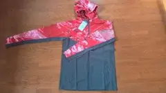 Item thumbnail for item 9a172e68-2f36-4da4-bbaa-d5f1a909399c