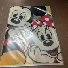 ディズニー　クリアファイルセット　ミッキー　ミニー　ドナルド　デイジー