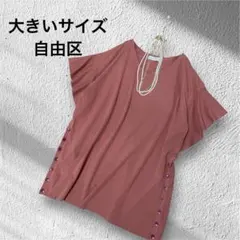 大きいサイズ！自由区　サイドボタン　フレアスリーブサマーニット44のサムネイル