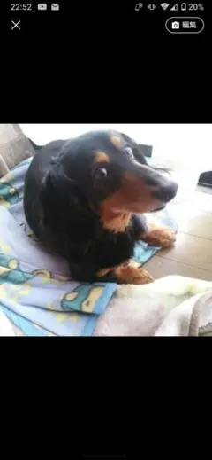 ❄みなと様専用出品