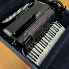2026年最新】アコーディオンの人気アイテム - メルカリ