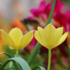 ゆうまま様 リクエスト 2点 まとめ商品