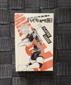 Item thumbnail for item 7c16f55b-5218-41f3-b2e3-19b9fd639962