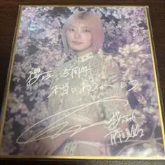 櫻坂 会場くじ サクコレ C賞 サイン入り色紙 ステッカー チェキ 藤吉夏