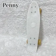 正規品】Penny ペニー 22インチ Sage セージ スケボー - メルカリ