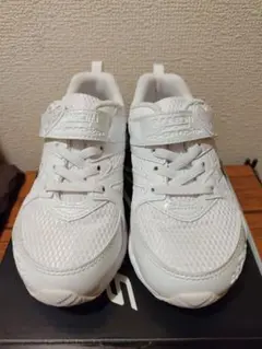 Item thumbnail for item ae24eb8f-76d6-4664-9950-729ac86babae