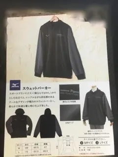 MIZUNO 阪神タイガース 2026 スウェットパーカーのサムネイル