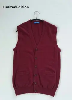 リミテッドエディション ★ カシミヤ100 % ベスト ジレ　自宅洗濯可能