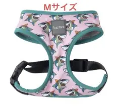 Item thumbnail for item e8ba80c9-0def-4a29-bd4b-16027ad7e2ff