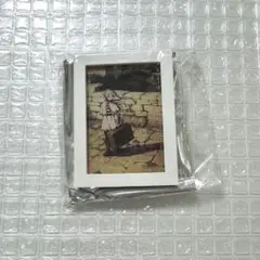【値下げ、おまとめ◎】葬送のフリーレン トレーディングフレームマグネット
