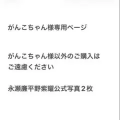 がんこちゃん様専用ページ⭐︎平野紫耀　永瀬廉　ジャニショ　公式写真