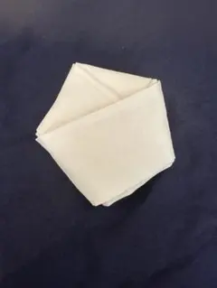 Item thumbnail for item 5802c4d5-5c32-49d8-995a-9f4e84d8c362