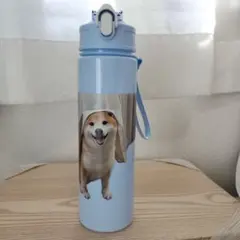柴犬デザイン ストロー付き水筒 ライトブルーのサムネイル