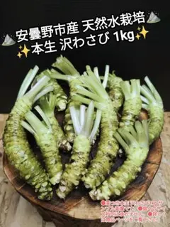 ✨ご注文後に収穫！生わさび 1kg✨ 安曇野産 生わさび わさび 茎付きわさびのサムネイル