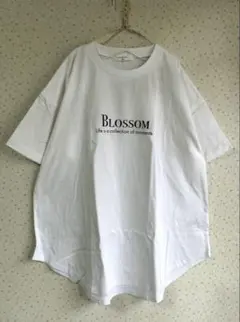 新品　サマンサモスモス　フォトプリントチュニックTシャツ 【USAコットン】のサムネイル