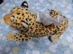 Item thumbnail for item 1e5375fb-e51a-4124-a648-744a2d327ab2