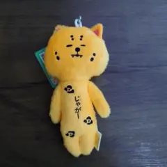 ゆきお 東武動物公園 ホワイトタイガー - メルカリ