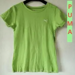 【美品】PUMA　レディースTシャツ　 グリーン　Ｌ