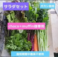 choco⭐︎muffin様専用です。ボカシ栽培の農薬不使用サラダセット