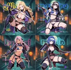 PARADOX サムライver B 8枚セット