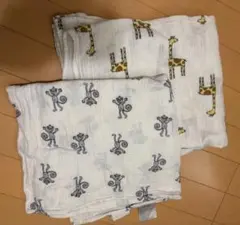 Item thumbnail for item 0b387c9e-6a34-496c-8551-4566318789c6