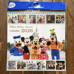 ディズニーリゾート 壁掛け　カレンダー 2026 実写版 ミッキーと仲間たち