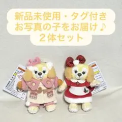 東京ディズニーシー　シークレットオブスノーウィーデイ　クリスマス　クッキーアン