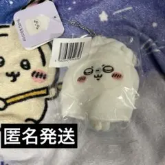 【新品未開封】たこイカくじ　モモンガ