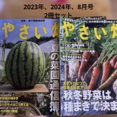 ちゃむ様 リクエスト 2点 まとめ商品 - メルカリ