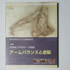 MTG 身代わり合成機 日本語 ボーダーレス MAR - メルカリ