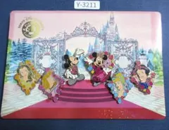 東京ディズニーランド プリンセス ピンバッジ ピンズ ピンラリーコレクション