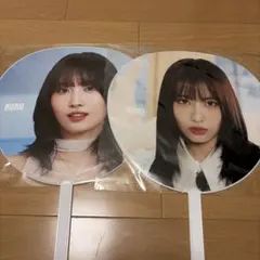TWICE モモ うちわ まとめ売り　MOMO