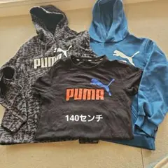 PUMA 140センチ Tシャツとパーカーセット