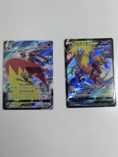 美品‼️早い者勝ち‼️バシャンモ2枚セット