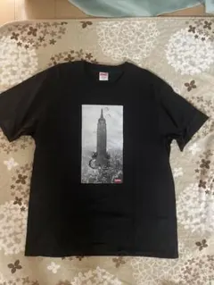 エンパイアステートビルプリントTシャツ