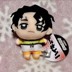 佐久早聖臣【ハイキュー‼︎】ぬいぷりけmini4 No.A2