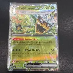 オーガポン みどりのめんex RR SV8a テラスタルフェスex 020/1…