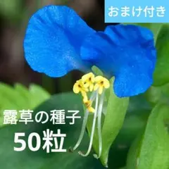 Katsuhiko Sato様 リクエスト 2点 まとめ商品