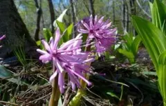 雪山登山様 リクエスト 3点 まとめ商品