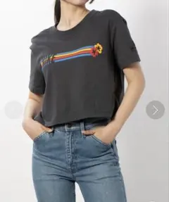 【NIKE】クロップドTシャツ ダークグレー ショート丈