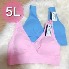 ノンワイヤー ブラジャー 2枚セット　5Ｌ ピンク ブルー