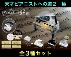 天才ピアニストへの道2 極 フルコンプ　前3種セット
