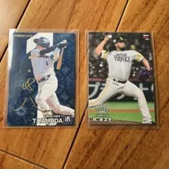 プロ野球チップス2024年第2弾