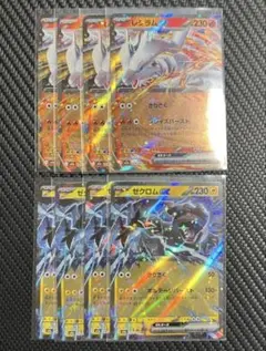 ゼクロムex レシラムex RR 各4枚