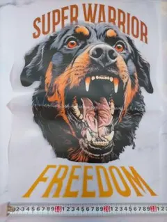 Item thumbnail for item 8ea6f73c-7cde-4f93-a543-b022d1cc2105