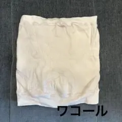 Item thumbnail for item 51c69438-b9a5-4256-b03f-0ad4cd8bcf8a