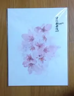 パンフレット「滝沢歌舞伎 ZERO FINAL」 Snow Man　グッズ