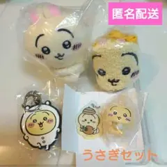 ちいかわ　うさぎセット