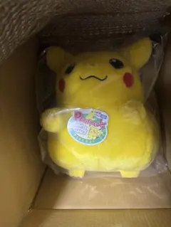 ポケモン30周年記念おかえり!ピカチュウ1/1